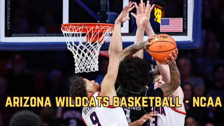 arizona wildcats basketball - ncaa